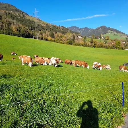 Viehhofgut