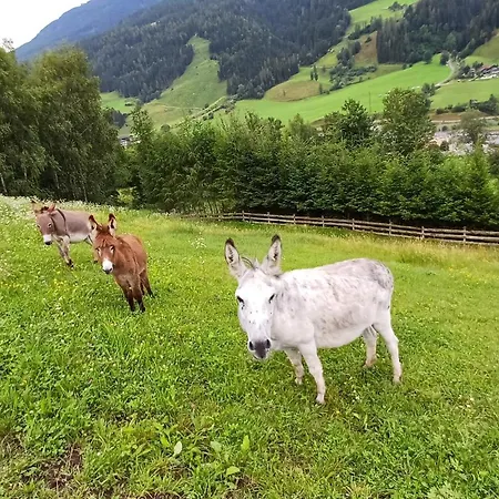 Appartamento Viehhofgut Fusch an der Glocknerstraße