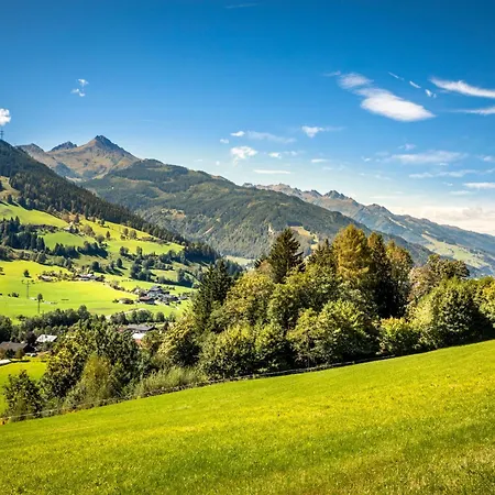 Viehhofgut Appartamento *