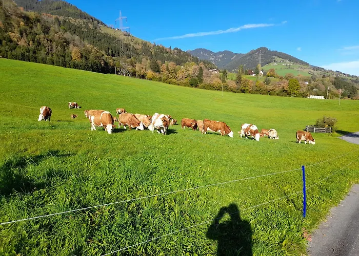 Viehhofgut
