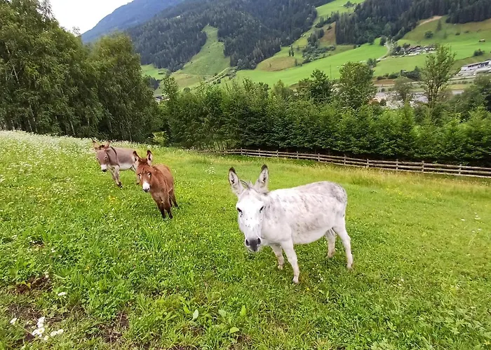 Apartament Viehhofgut Fusch an der Glocknerstraße